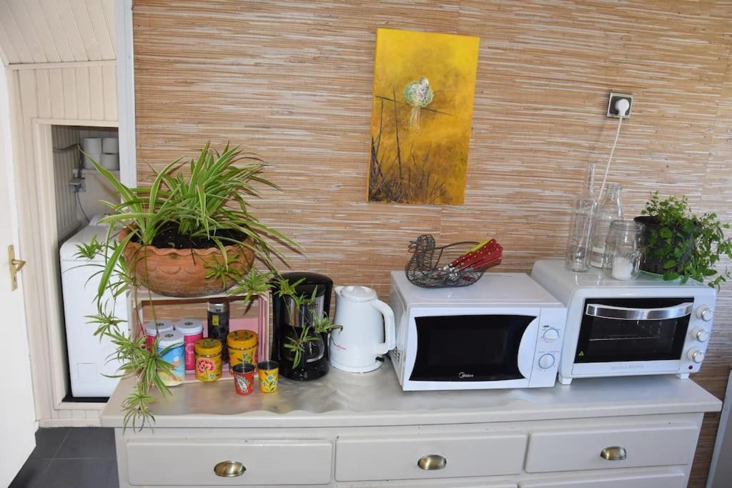 Le Strelitzia 1 Apartment ซีลาโอส ภายนอก รูปภาพ
